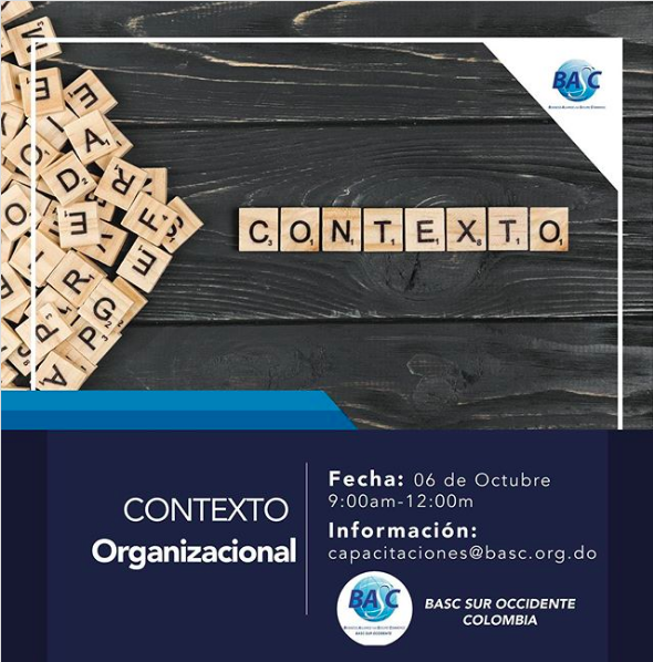 Contexto Organizacional